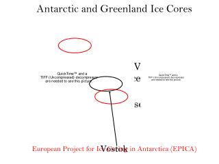 Glacial-Interglacial Variability Records of the Pleistocene Ice Ages