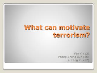 What can motivate terrorism?