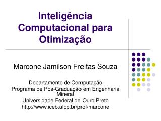 Inteligência Computacional para Otimização