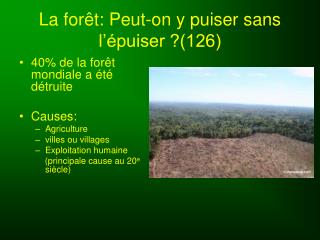 La forêt: Peut-on y puiser sans l’épuiser ?(126)