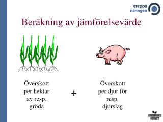 Beräkning av jämförelsevärde