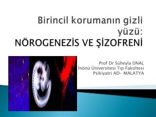 Prof Dr Süheyla ÜNAL İnönü Üniversitesi Tıp Fakültesi Psikiyatri AD- MALATYA