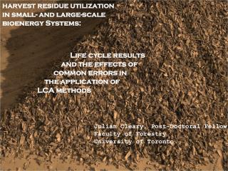 harvest residue utilization in small- and large-scale bioenergy Systems: