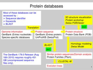 Genome information GenBank (Entrez nucleotide) Species-specific databases