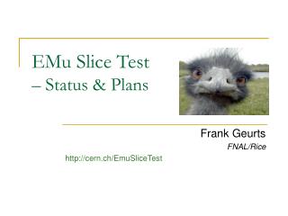 EMu Slice Test – Status &amp; Plans