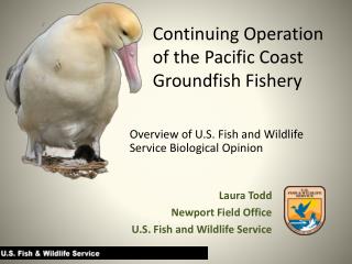 Continuing Operation of the Pacific Coast Groundfish Fishery