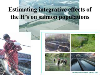 Estimating integrative effects of the H’s on salmon populations