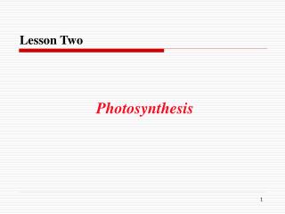 Lesson Two Photosynthesis