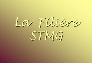 La Filière STMG