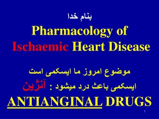 Ischaemic Heart Disease