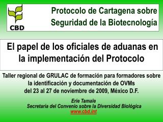 Erie Tamale Secretaría del Convenio sobre la Diversidad Biológica cbdt