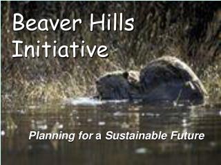 Beaver Hills Initiative