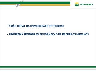 VISÃO GERAL DA UNIVERSIDADE PETROBRAS PROGRAMA PETROBRAS DE FORMAÇÃO DE RECURSOS HUMANOS