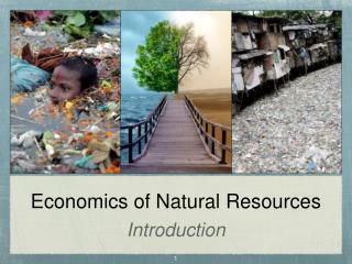 Economics of Natural Resources