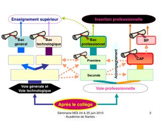 Insertion professionnelle