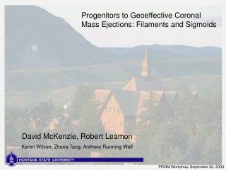 Progenitors to Geoeffective Coronal Mass Ejections: Filaments and Sigmoids