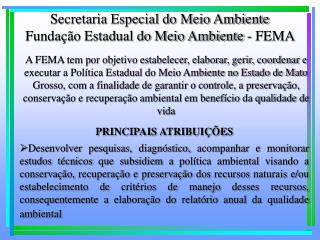 Secretaria Especial do Meio Ambiente Fundação Estadual do Meio Ambiente - FEMA