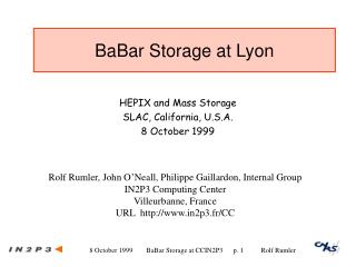 BaBar Storage at Lyon