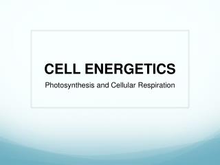 CELL ENERGETICS
