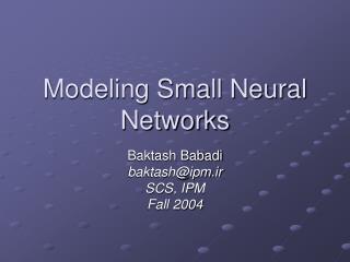 Modeling Small Neural Networks