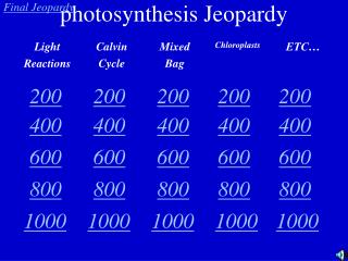 photosynthesis Jeopardy