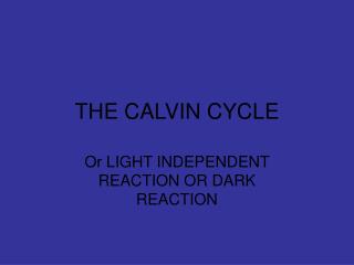 THE CALVIN CYCLE