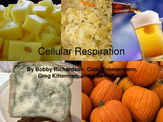 Cellular Respiration