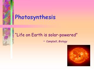 Photosynthesis