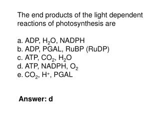 The end products of the light dependent reactions of photosynthesis are ADP, H 2 O, NADPH