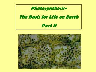 Photosynthesis- The Basis for Life on Earth Part II