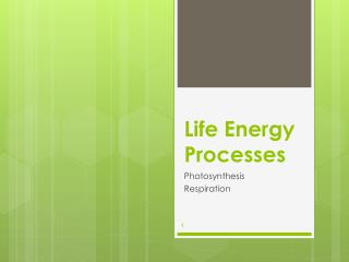 Life Energy Processes