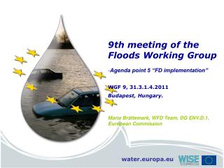 9th meeting of the Floods Working Group Agenda point 5 “FD implementation” WGF 9, 31.3.1.4.2011