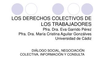 DIÁLOGO SOCIAL, NEGOCIACIÓN COLECTIVA, INFORMACIÓN Y CONSULTA