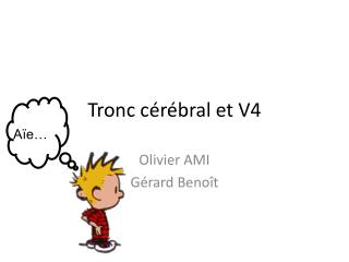 Tronc cérébral et V4