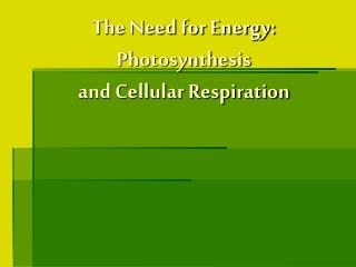 The Need for Energy: Photosynthesis and Cellular Respiration