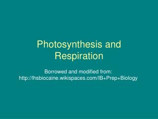 Photosynthesis and Respiration