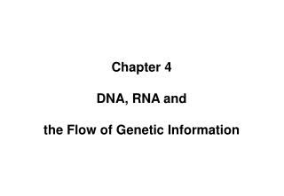 Chapter 4 DNA, RNA and the Flow of Genetic Information