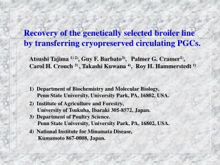 Recovery of the genetically selected broiler line