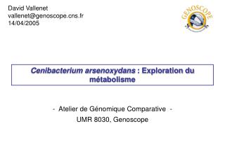 Cenibacterium arsenoxydans : Exploration du métabolisme