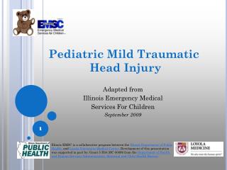 Pediatric Mild Traumatic Head Injury