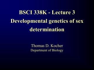 BSCI 338K - Lecture 3 Developmental genetics of sex determination