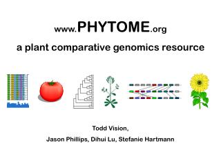 PHYTOME a plant comparative genomics resource