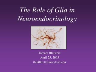 The Role of Glia in Neuroendocrinology