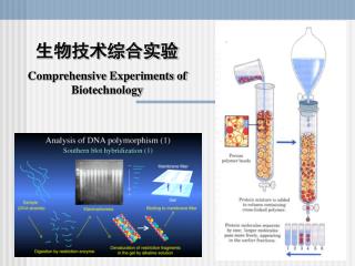 生物技术综合实验 Comprehensive Experiments of Biotechnology