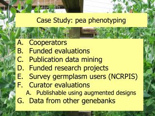 Case Study: pea phenotyping