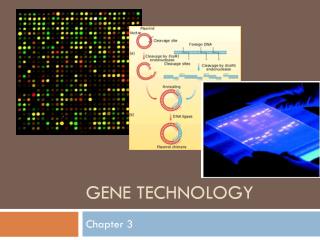 GENE TECHNOLOGY