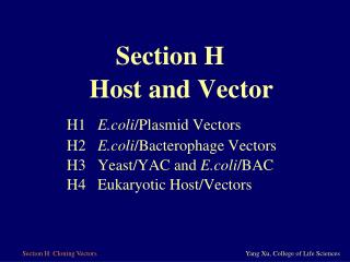 H1 E.coli /Plasmid Vectors