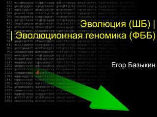 Эволюция (ШБ) | | Эволюционная геномика (ФББ)