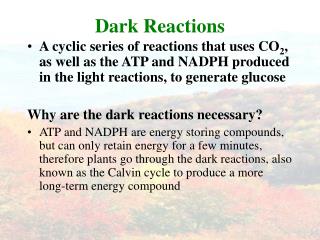 Dark Reactions