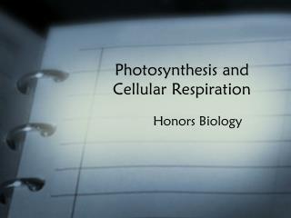 Photosynthesis and Cellular Respiration